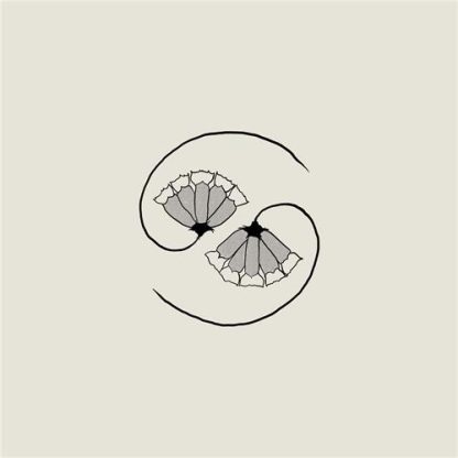 Godspeed You! Black Emperor - G_d's Pee AT STATE'S END! [LP+10"]