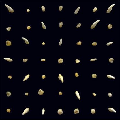 clipping. - Visions Of Bodies Being Burned [2xLP]