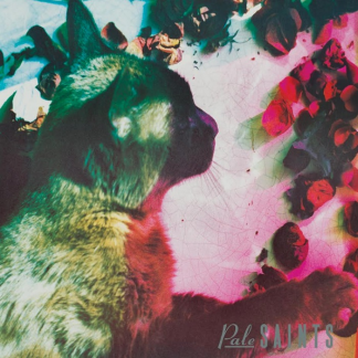 Pale Saints - The Comforts Of Madness [LP]