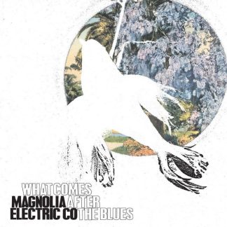 Magnolia Electric Co. - What Comes After The Blues [LP]