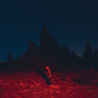 Phoebe Bridgers - Punisher [LP]