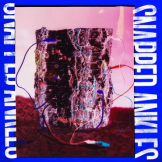 Snapped Ankles - Forest Of Your Problems [LP]