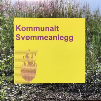 Kommunalt Svømmeanlegg - Hjernen Ser Ut Som En Tyggis [LP]