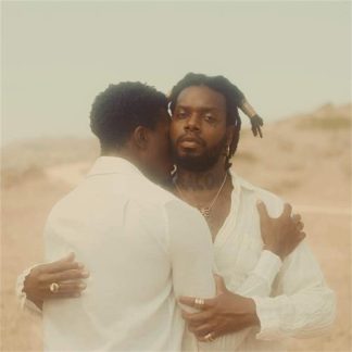 serpentwithfeet - DEACON [LTD LP] (Opaque Brown vinyl)