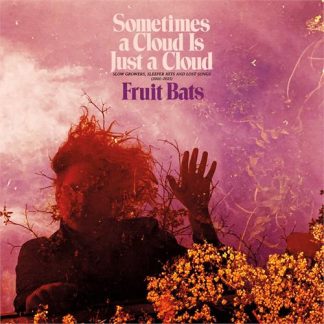 Fruit Bats - Sometimes a Cloud Is Just a Cloud: [LTD 2xLP]