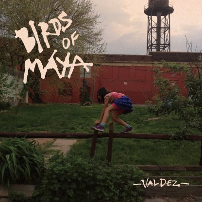 Birds Of Maya - Valdez [LP]