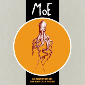 MoE - Examination Of The Eye Of A Horse [LP]