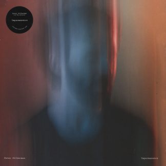 Peter Silberman - Impermanence [LP]