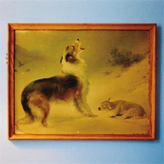 Explosions In The Sky - The Rescue (Anniversary Edition) [LP]