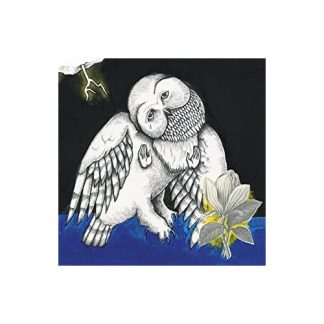 Songs: Ohia - The Magnolia Electric Co [2xLP]