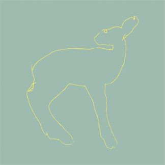 Songs: Ohia - Hecla & Griper [LP]