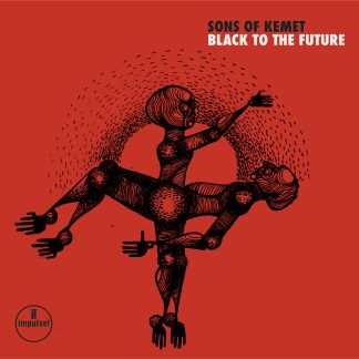 Sons Of Kemet - Black To The Future [2xLP]
