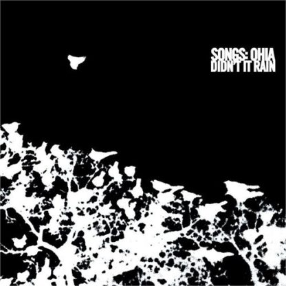 Songs: Ohia - Didn't It Rain [2xLP]
