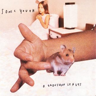 Sonic Youth - A Thousand Leaves [2xLP]