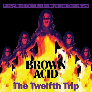 Brown Acid - The Twelfth Trip [LP]