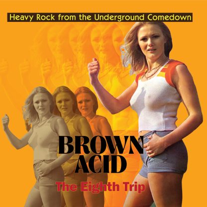Brown Acid - The Eighth Trip [LP]