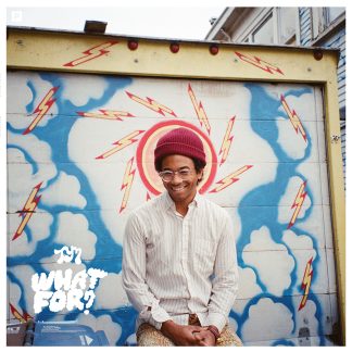 Toro Y Moi - What For? [LP]