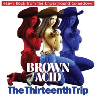 Brown Acid - The Thirteenth Trip [LTD LP] (coloured vinyl)