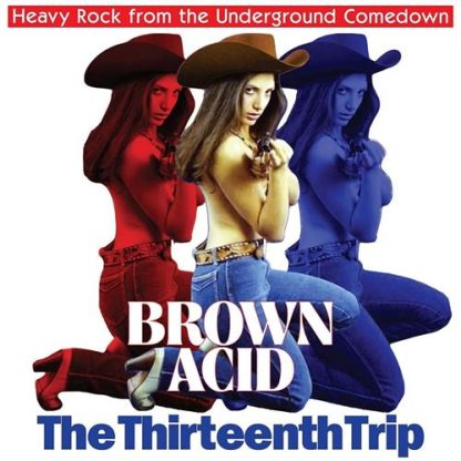 Brown Acid - The Thirteenth Trip [LTD LP] (coloured vinyl)