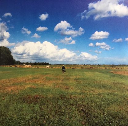 Biosphere - The Hilvarenbeek Recordings [LP]