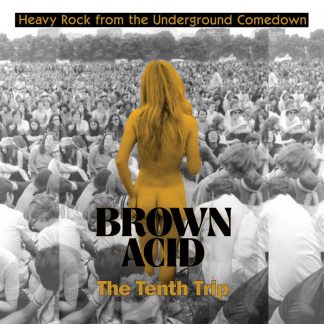 Brown Acid  - The Tenth Trip [LP]