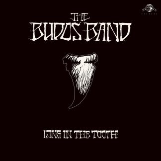 The Budos Band - Long In The Tooth [LP]