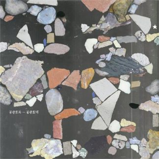 Mid-Air Thief - Gongjoong Doduk [LTD LP] (marbled vinyl)