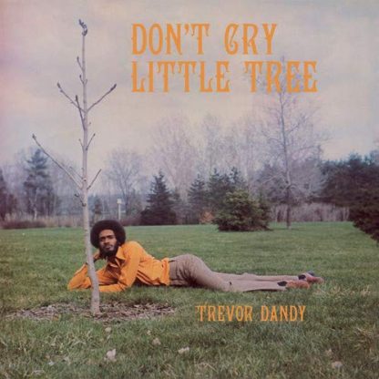 Trevor Dandy - Don't Cry Little Tree [LP]