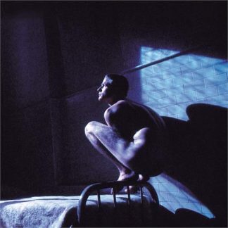 Peter Gabriel - Birdy [LP]