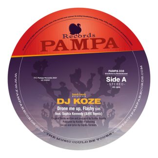 DJ Koze - Knock Knock Remixes [12"]