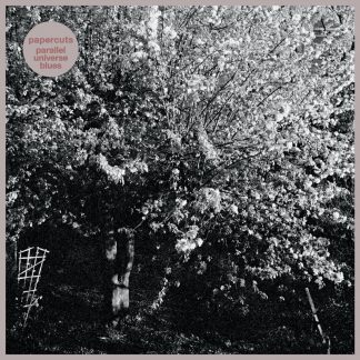 Papercuts - Parallel Universe Blues [LP]