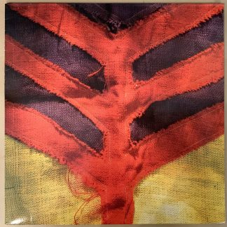 Yeah Yeah Yeahs - Show Your Bones [LP] (2. hand)