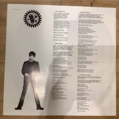 The Brand New Heavies - Brother Sister [2xLP] (2. hand) - Bilde 6