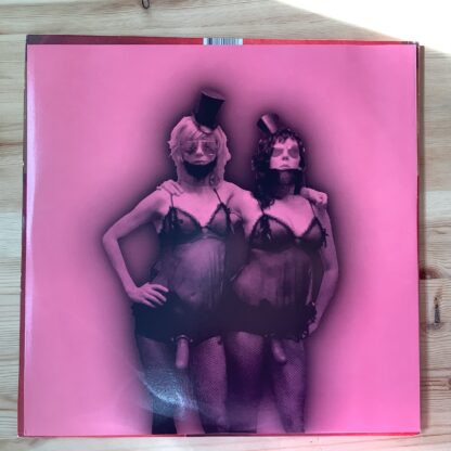 Peaches - Impeach My Bush [2xLP] (2. hand) - Bilde 5