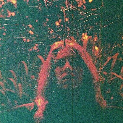 Turnover - Peripheral Vision [LTD LP] (Coloured Vinyl)