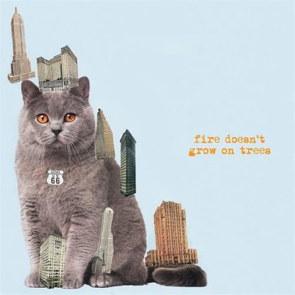 The Brian Jonestown Massacre - Fire Doesn't Grow On Trees [LP]