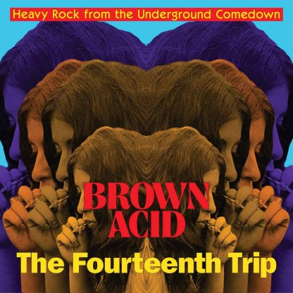 Brown Acid - The Fourteenth Trip [LP]