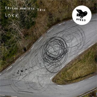 Erlend Apneseth Trio - Lokk [LP]