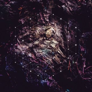 Psychonaut - Unfold The God Man [LP]