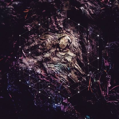 Psychonaut - Unfold The God Man [LP]