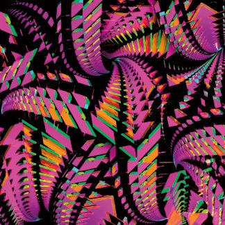 Bitchin' Bajas - Bajascillators [2xLP]