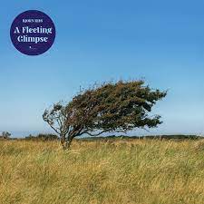 Bjørn Riis - A Fleeting Glimpse [LTD LP] (Transparent Blue Vinyl)