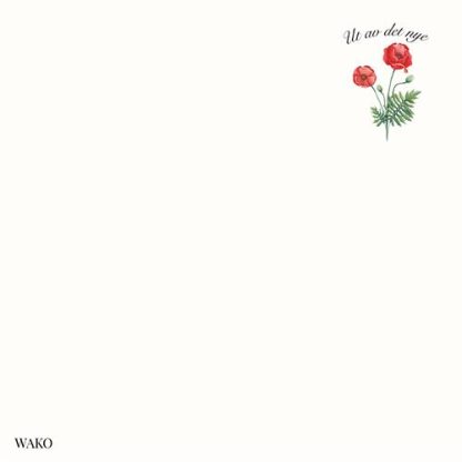 Wako - Ut av det nye [LP]