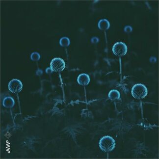 Emil Storløkken Åse - Electric Forest [LP]