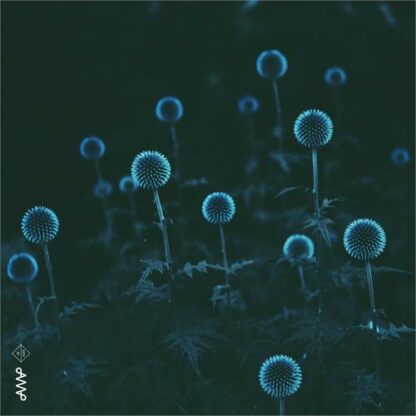 Emil Storløkken Åse - Electric Forest [LP]