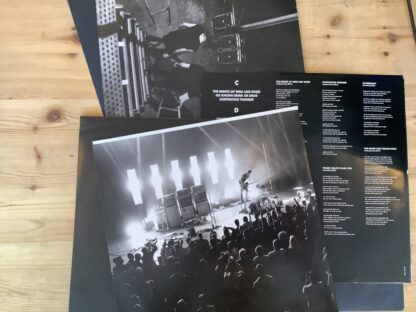Japandroids - Massey Fucking Hall [2xLP] (2. hand) - Bilde 3