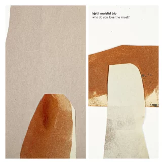 Kjetil Mulelid Trio - Who Do You Love The Most? [LP]