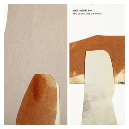 Kjetil Mulelid Trio - Who Do You Love The Most? [LP]