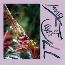 Macie Stewart - Mouth Full Of Glass [LTD LP] (Transparent Vinyl)