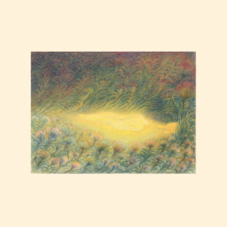 Sofie Birch & Antonina Nowacka - Languoria [LP]